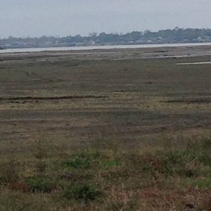 Meet your Posher, Bryce